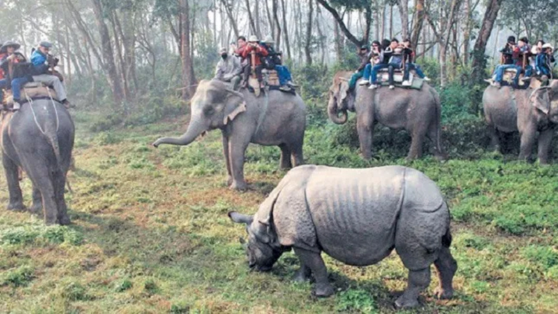 ठूला होटल खुलेसँगै चितवनमा विदेशी पर्यटकको संख्यामा वृद्धि