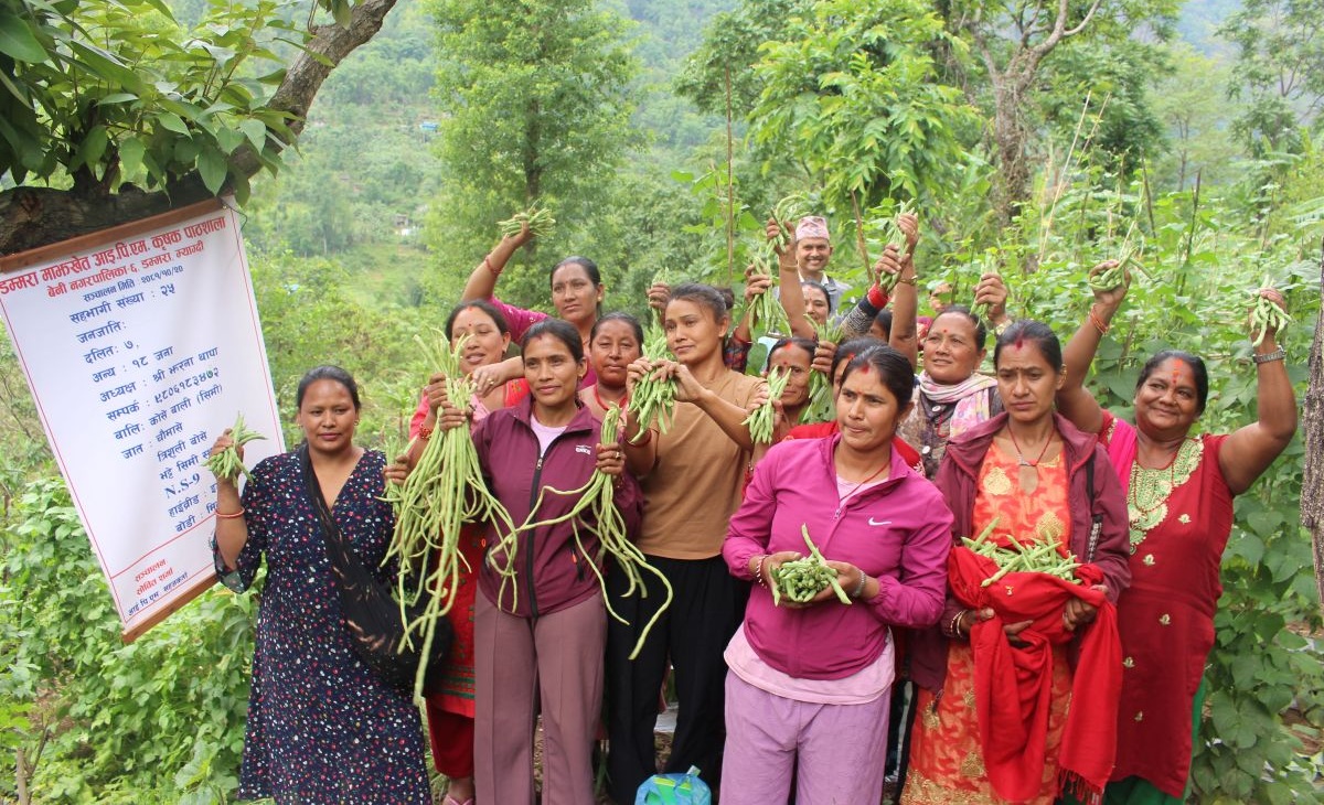 कृषिमा रैथाने सीप र प्रविधि बढाउन ‘आइपिएम’ कृषक पाठशाला’