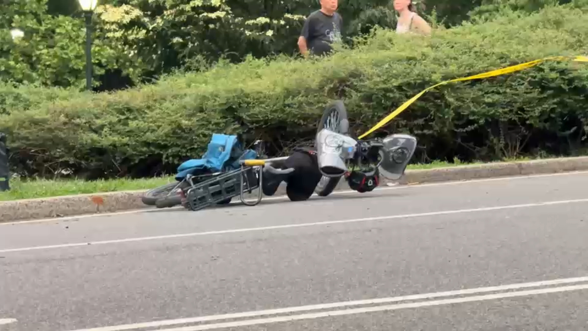 सेन्ट्रल पार्कमा पैदल यात्रुसँग ठोक्किँदा साइकलयात्रीको मृत्यु