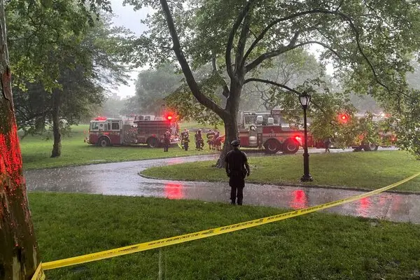 सेन्ट्रल पार्कमा चट्याङ लागेर एक किशोर गम्भीर घाइते