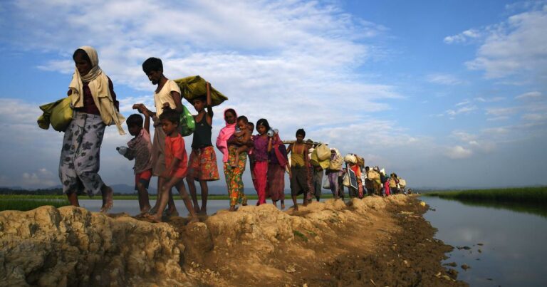 विश्वभर १२ करोड २० लाख मानिस विस्थापित