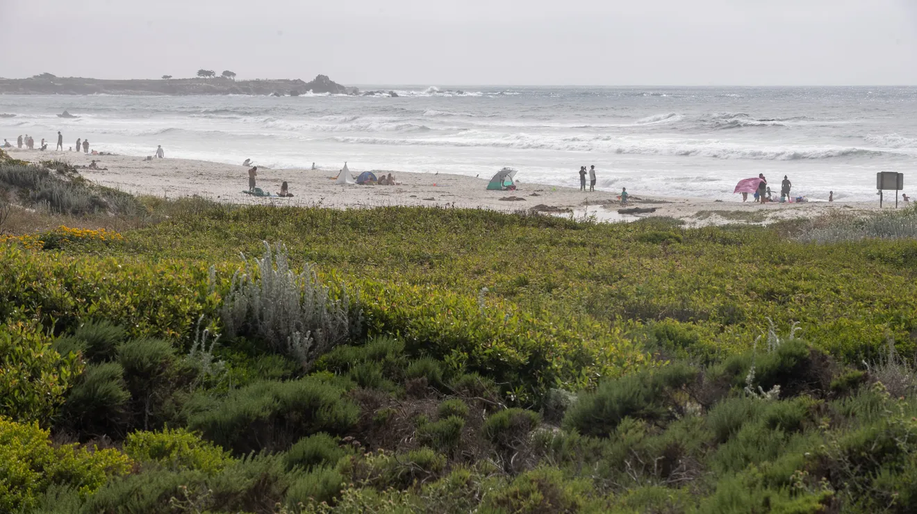 क्यालिफोर्नियामा सानो विमान दुर्घटना : तीन जनाको शव फेला