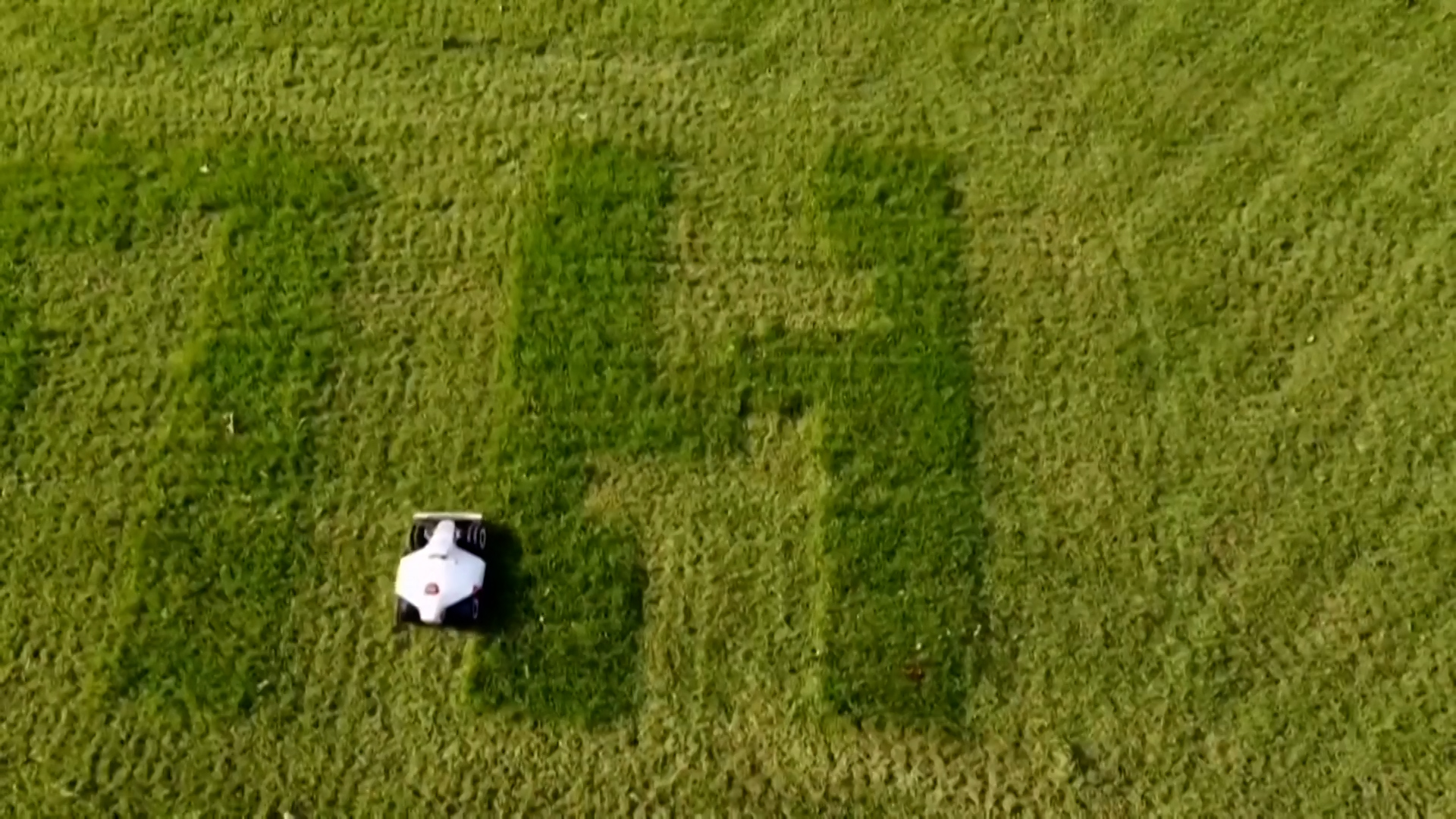 चीनमा निर्मित घाँस काट्ने स्मार्ट यन्त्र विश्वमा लोकप्रिय