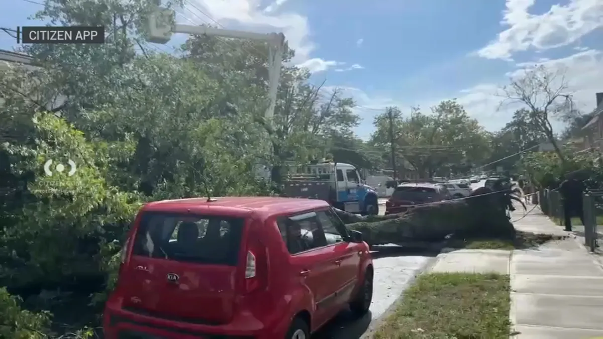 न्युयोर्क क्षेत्रमा आँधीबेहरीले रुख ढल्यो, तापक्रम भने अझै उच्च