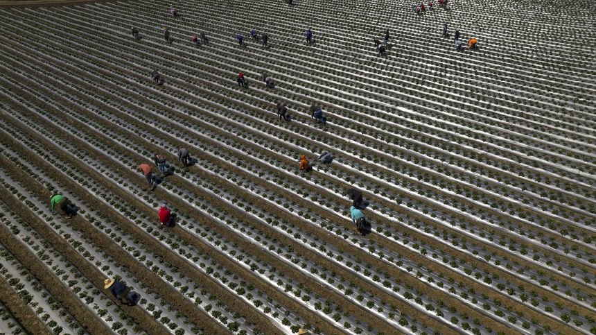 ट्रम्पको व्यापक निर्वासन नीतिले अमेरिकाको अर्थतन्त्रमा पर्ने असरबारे रिपोर्ट