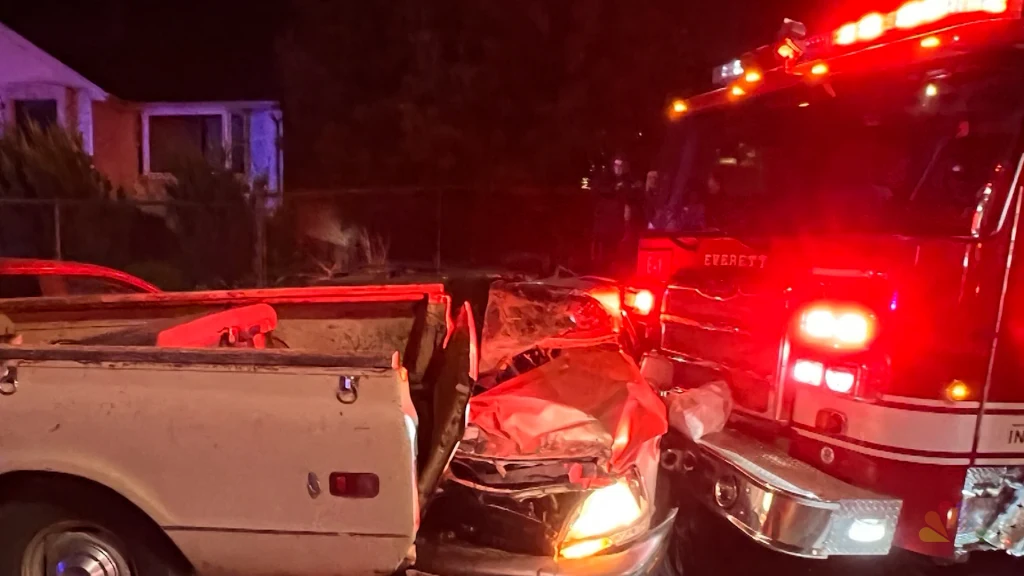 वाशिंगटन राज्यमा दमकल चोरको ताण्डव : धेरै सवारी साधन क्षतिग्रस्त, चालक फरार