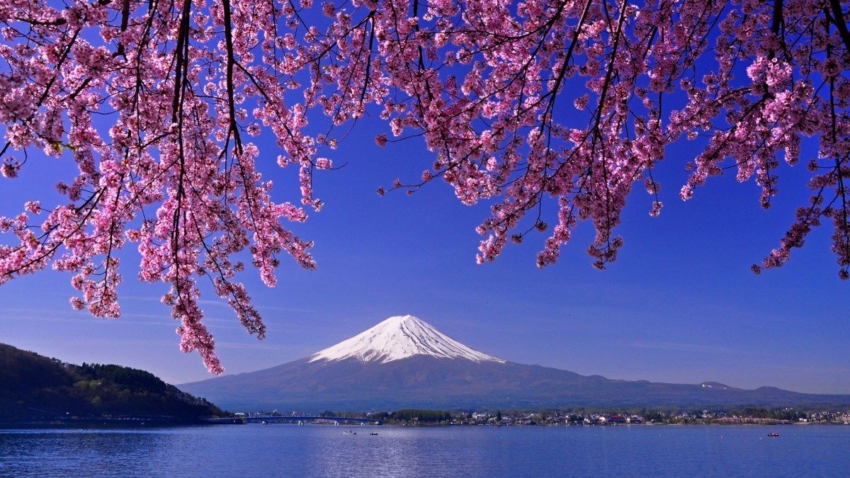 ‘विश्वकै पहिलो’ गहिरो समुद्रबाट खनिज निकाल्ने जापानको योजना