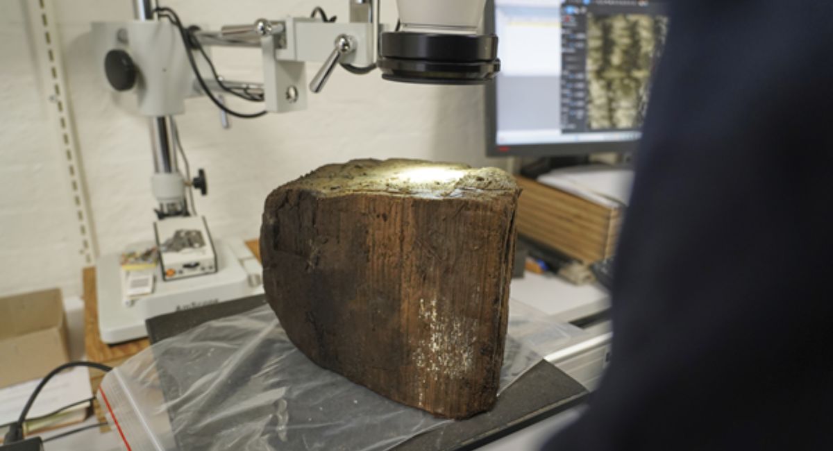 डेनमार्कमा पाषाण युगको डुबेको बस्ती फेला