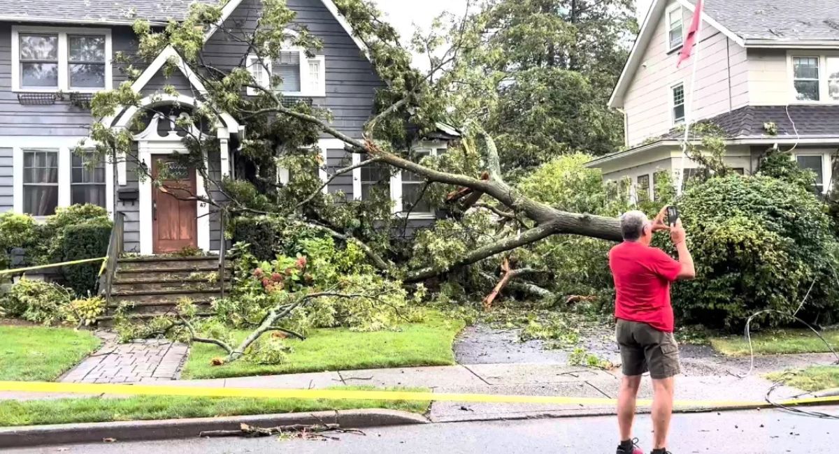 भीषण आँधी–बेहरीले न्यूयोर्क क्षेत्रमा वर्षा, रूख ढल्दा क्षति