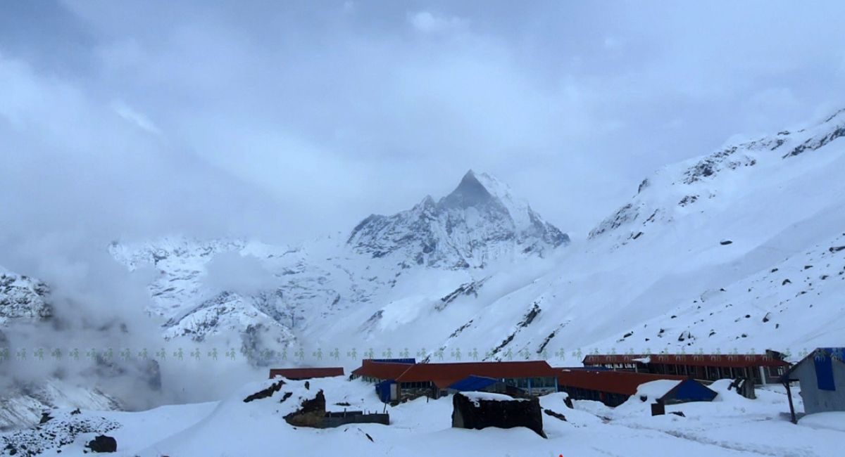 अन्नपूर्ण आधार शिविरमा पदयात्रा रोकियो : पर्यटकलाई नारच्याङ र भुरुङ्ग तातोपानीमा ल्याइयो