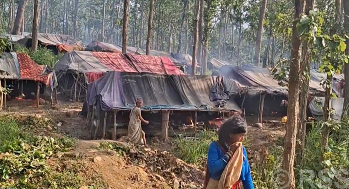 रातका समयमा हाम्रो बस्तीलाई सुरक्षा चाहियो : राउटे समुदायका युवा