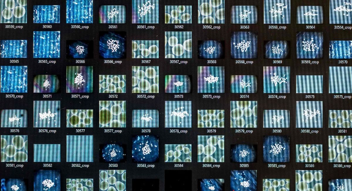 मानव मस्तिष्कबाट चल्ने नयाँ पुस्ताको कम्प्युटर ‘वेटवेयर’