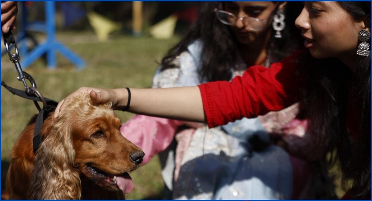 यमपञ्चकको तेस्रो दिन : मनाइयो कुकुर तिहार