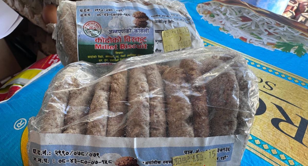 ‘गरिबको खाना’ भनेर हेपिएको कोदो अब बजारको आकर्षण