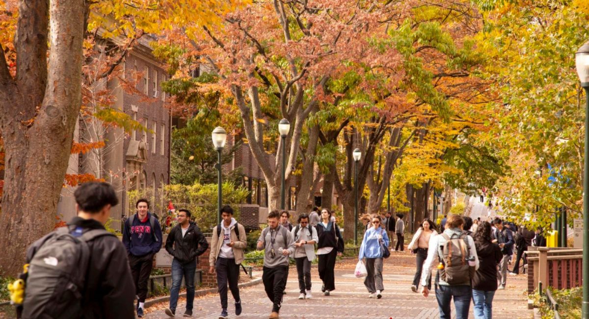 अमेरिकामा अन्तर्राष्ट्रिय विद्यार्थी भर्ना दरमा तीव्र गिरावट