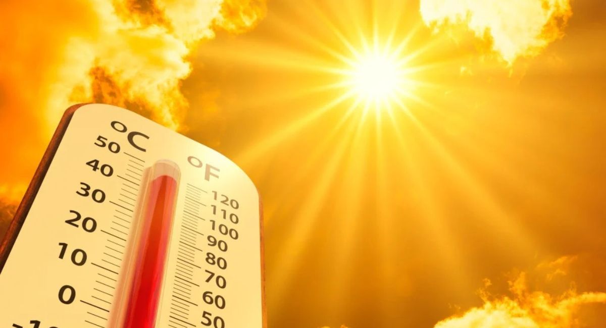 सन् २०२५ दोस्रो सबैभन्दा तातो वर्ष बन्ने सम्भावना : अध्ययन