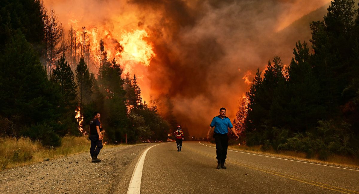 पाटागोनियाका जङ्गलमा भीषण डढेलो: बस्ती उच्च जोखिममा