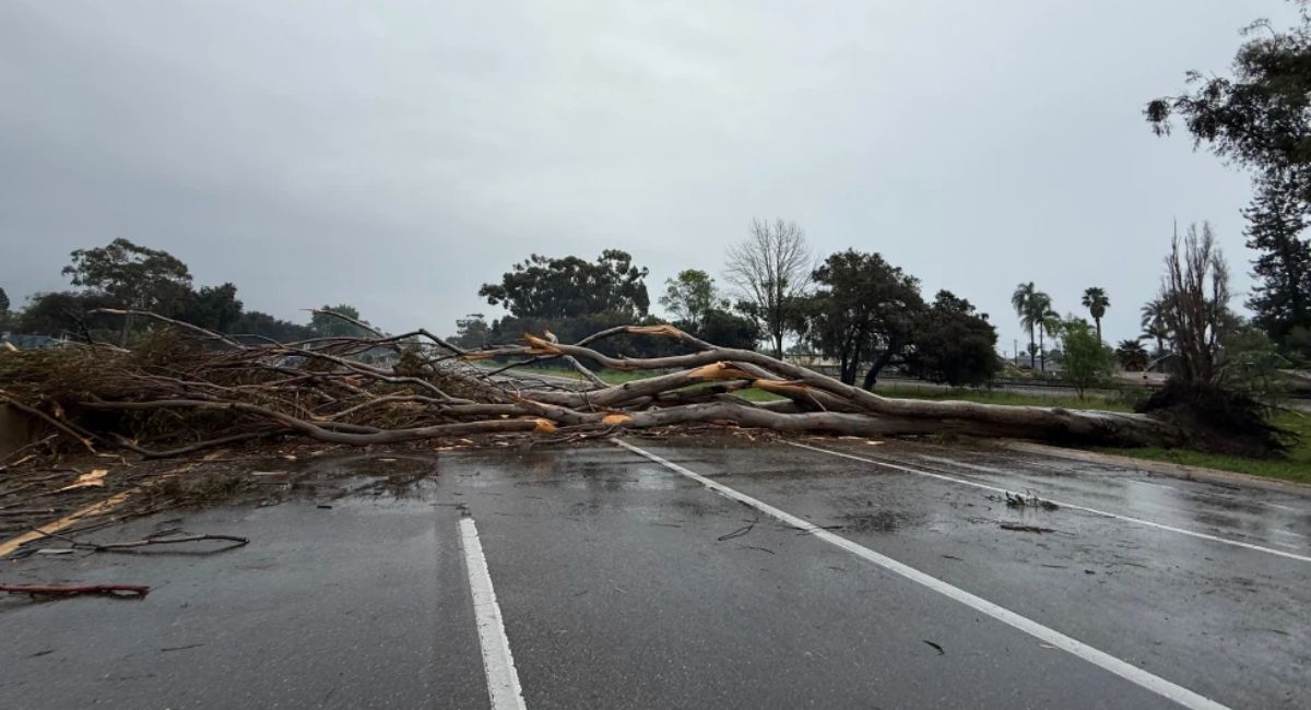 क्यालिफोर्नियामा शक्तिशाली हिउँदे आँधीको वितण्डा: बाढीको चेतावनी, राजमार्ग अवरुद्ध