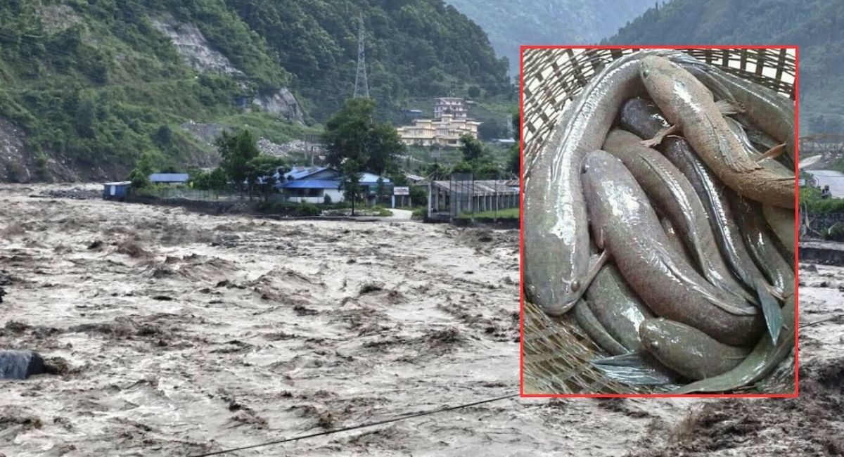 भोटेकोसीको माछा नखान र पानी नपिउन प्रहरीको आग्रह
